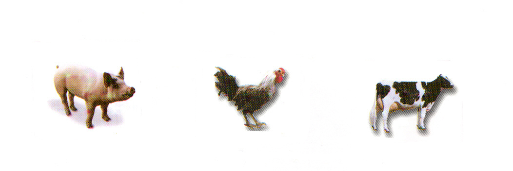Livestock Picture