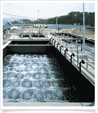 Wastewater Treatment Process