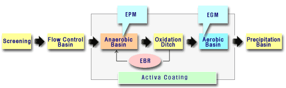 EBNR Process Title