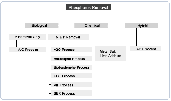 Phosphorous Removal Diagram