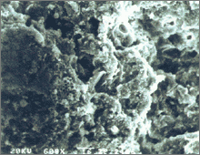 Microgram-2 of EGM