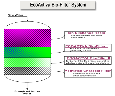 Diagram of EcoActiva Bio-Filter System